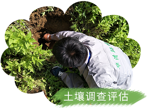 全國(guó)土壤詳查