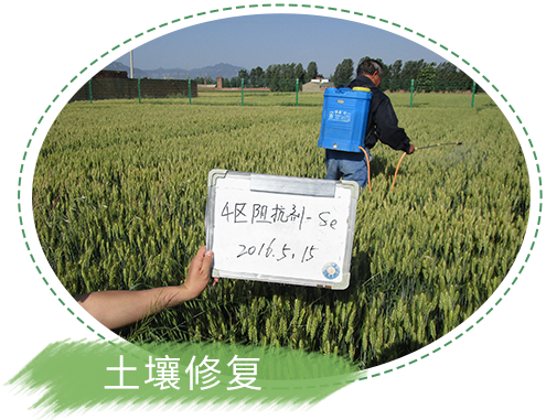 某化工股份有限公司土壤污染狀況調(diào)查
