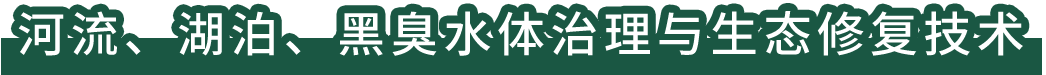 河流、湖泊、黑臭水體治理與生態(tài)修復技術(shù)