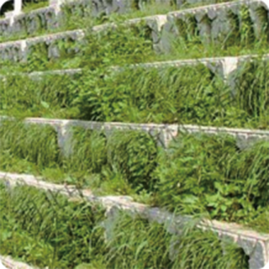 地表水流域綜合治理項目案例