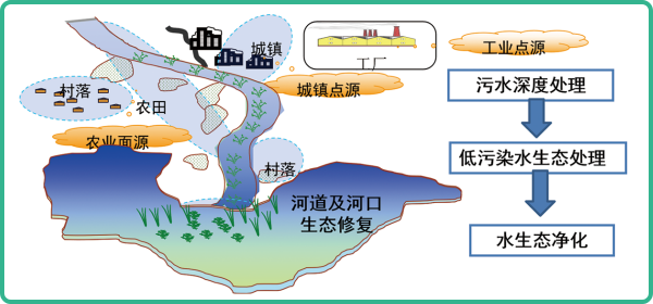 人工濕地，人工濕地建設