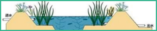 人工濕地，表面流人工濕地