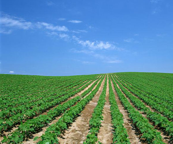 東風(fēng)吹戰(zhàn)鼓擂！ 第三方檢測掌舵萬億土壤修復(fù)江湖