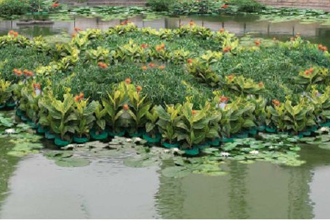 常見河道、濕地水生態(tài)修復技術(shù)節(jié)選