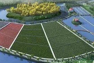 水環(huán)境治理修復中人工浮島的實際應(yīng)用