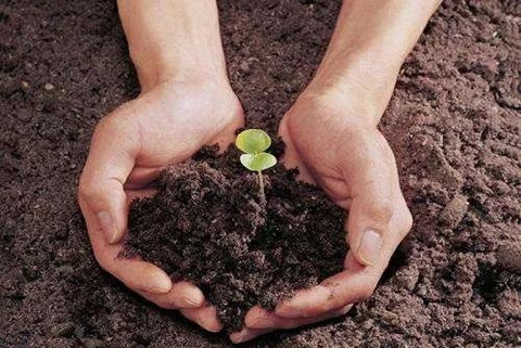 近日，天津市生態環境局印發《天津市土壤污染重點監管單位周邊土壤及地下水環境監測技術指南》（試行）