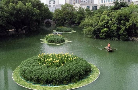 生態浮島 生態浮島