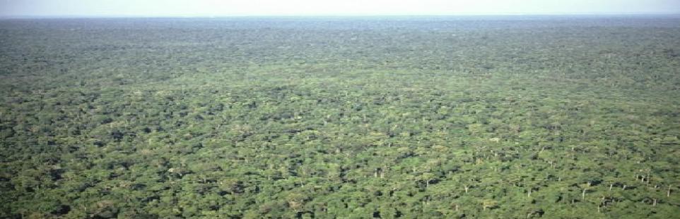 1614579715354856.jpg 1614579715354856.jpg