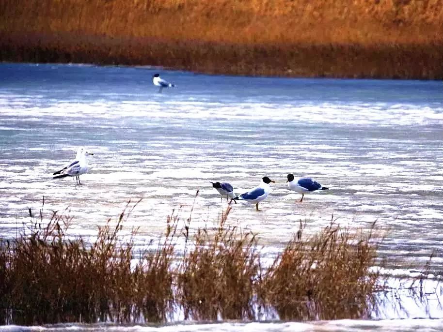 1614839025185025.jpg 1614839025185025.jpg