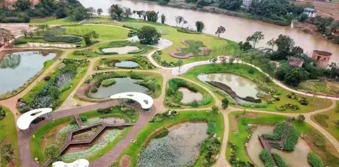 水環境治理 水環境治理