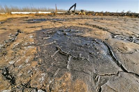 河北華清 河北華清