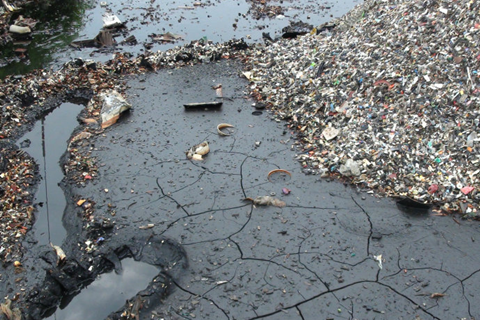 河北華清 河北華清