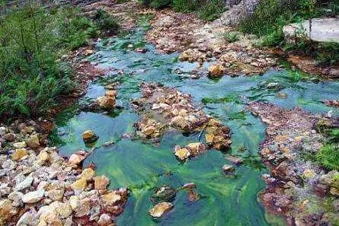 河北華清 河北華清