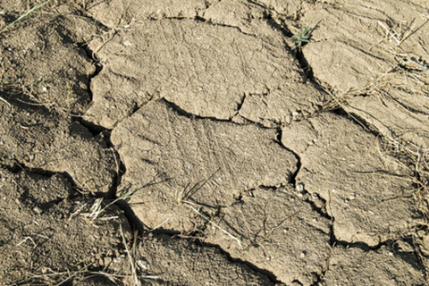 1681717617590229.jpg 300_副本.jpg